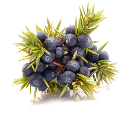 Juniper Berries