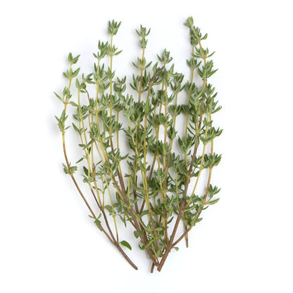 iSpice Thyme Leaves
