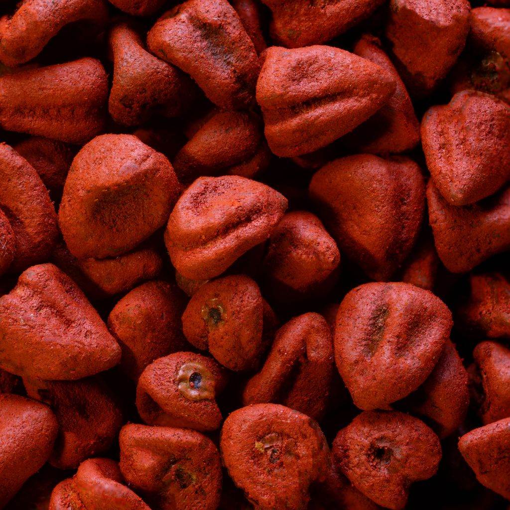 Annatto Seed