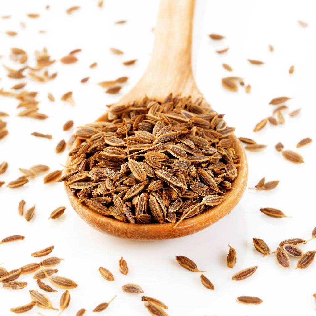 Dill Seed