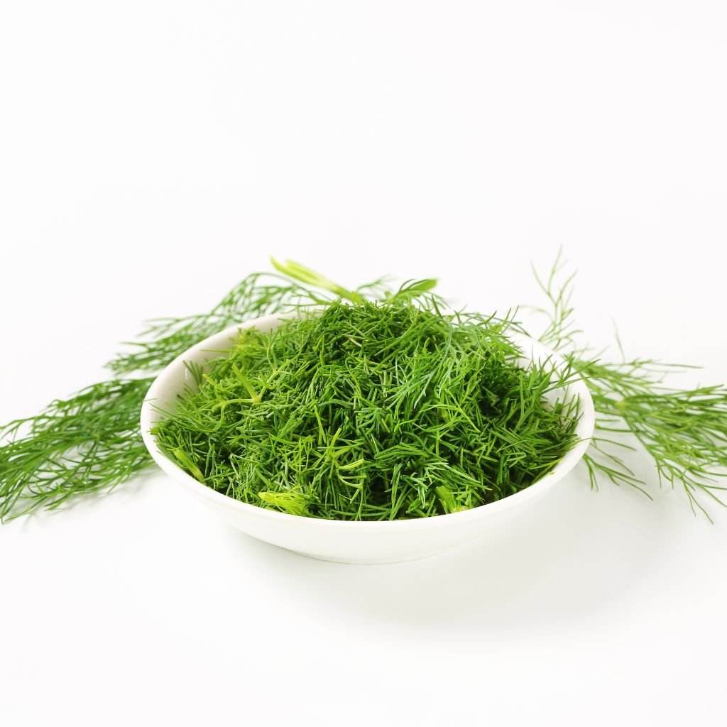 Dill Weed