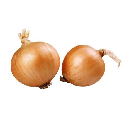 Onion Granulated