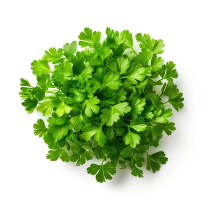 Parsley Curly