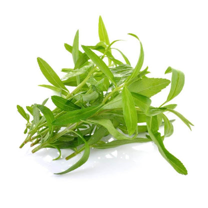 Tarragon Leaves