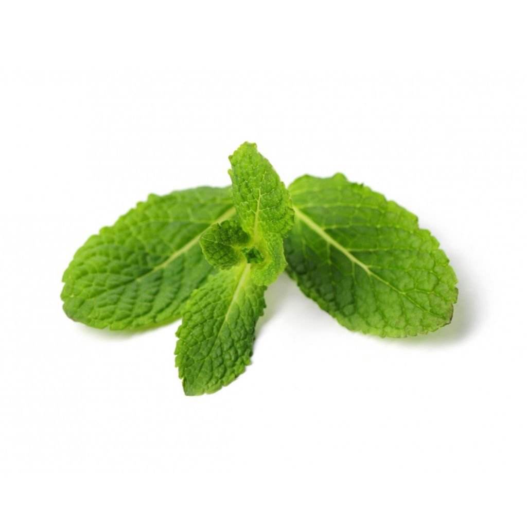 Spearmint Leaves Crushed