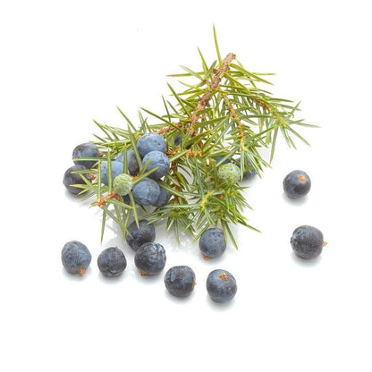 Juniper Berries
