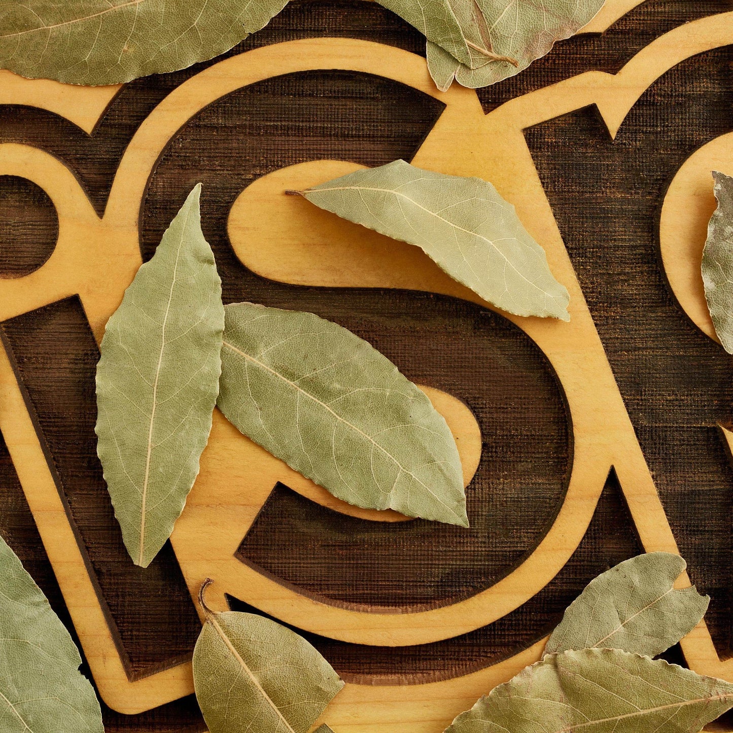 Bay Leaf