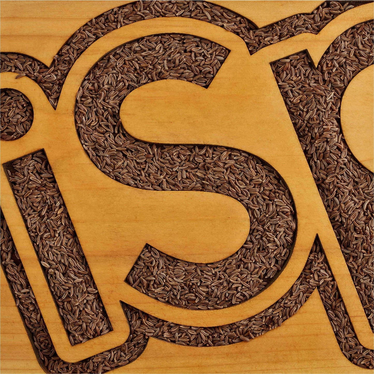 Caraway Seed