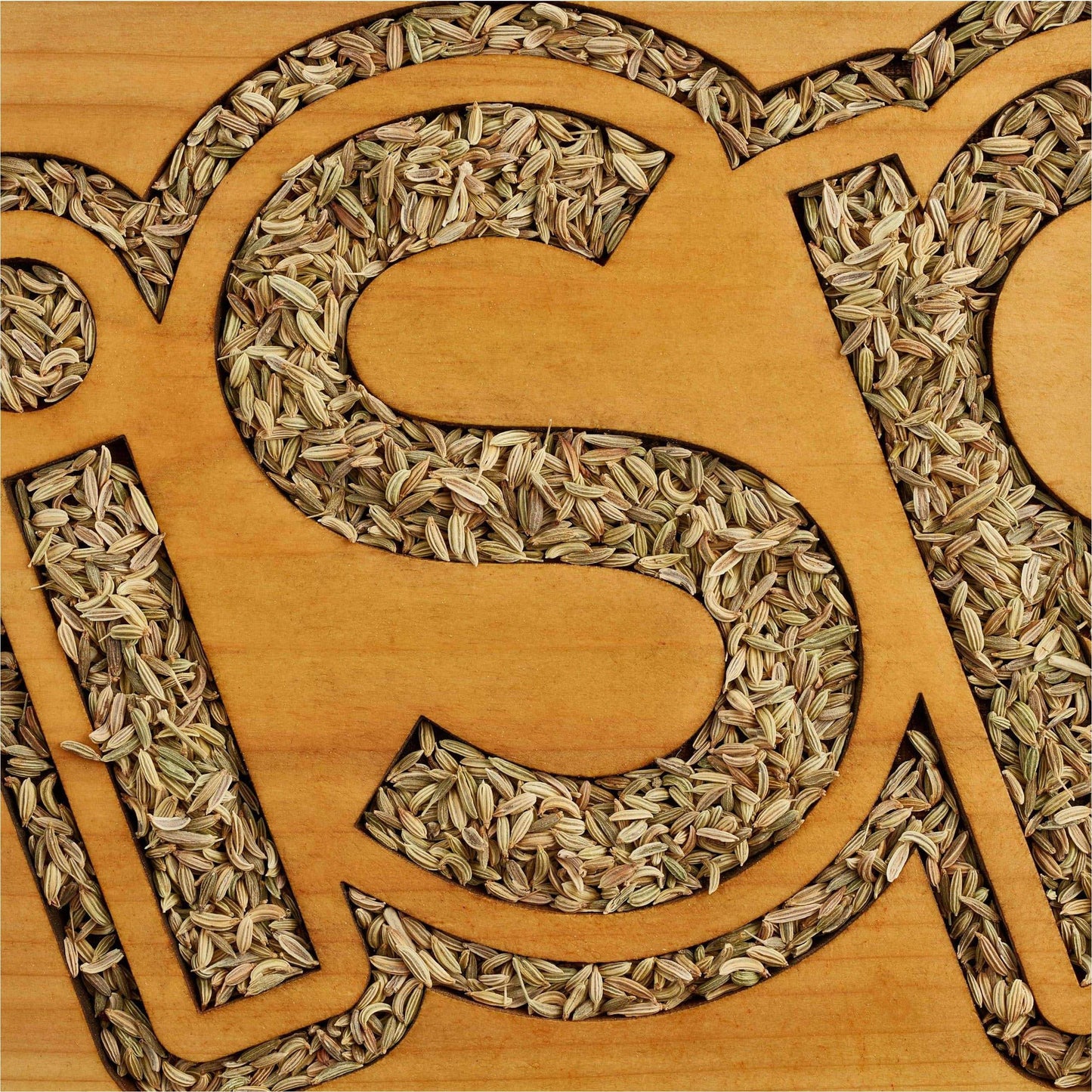 Fennel Seed