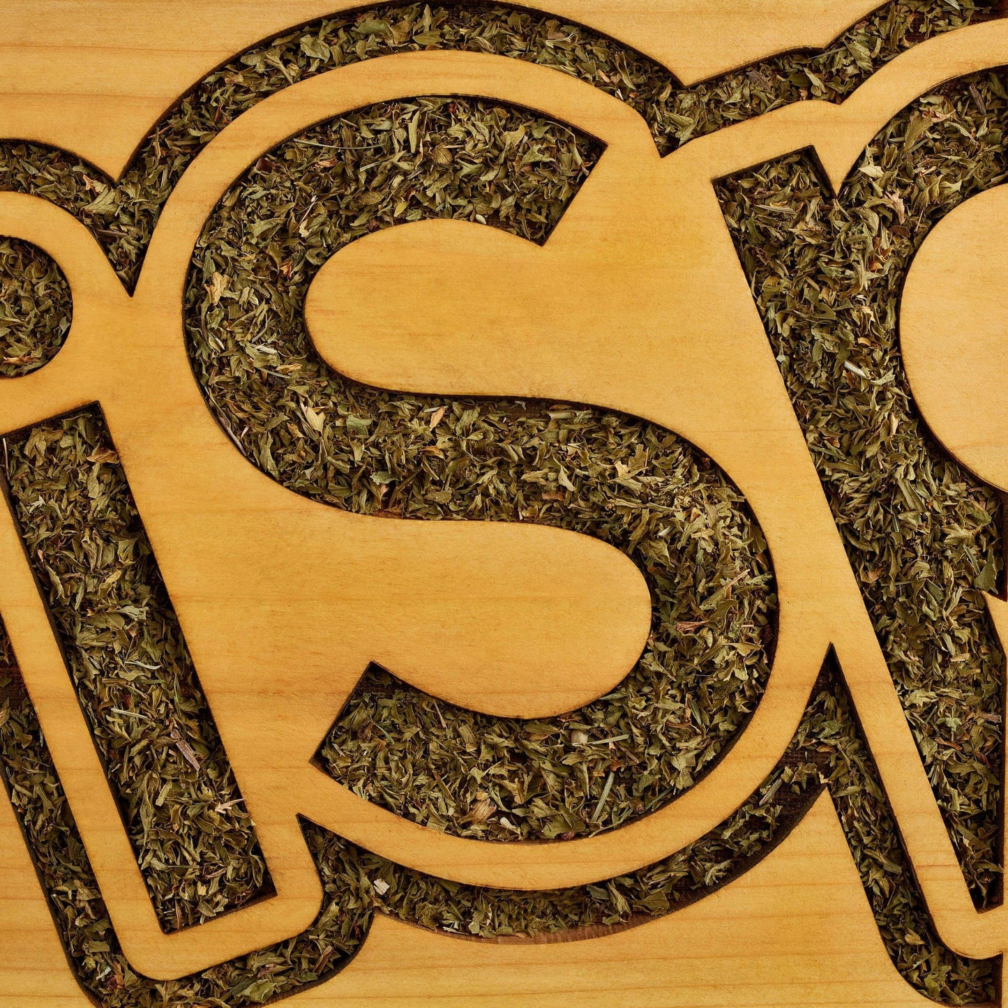 Parsley Curly