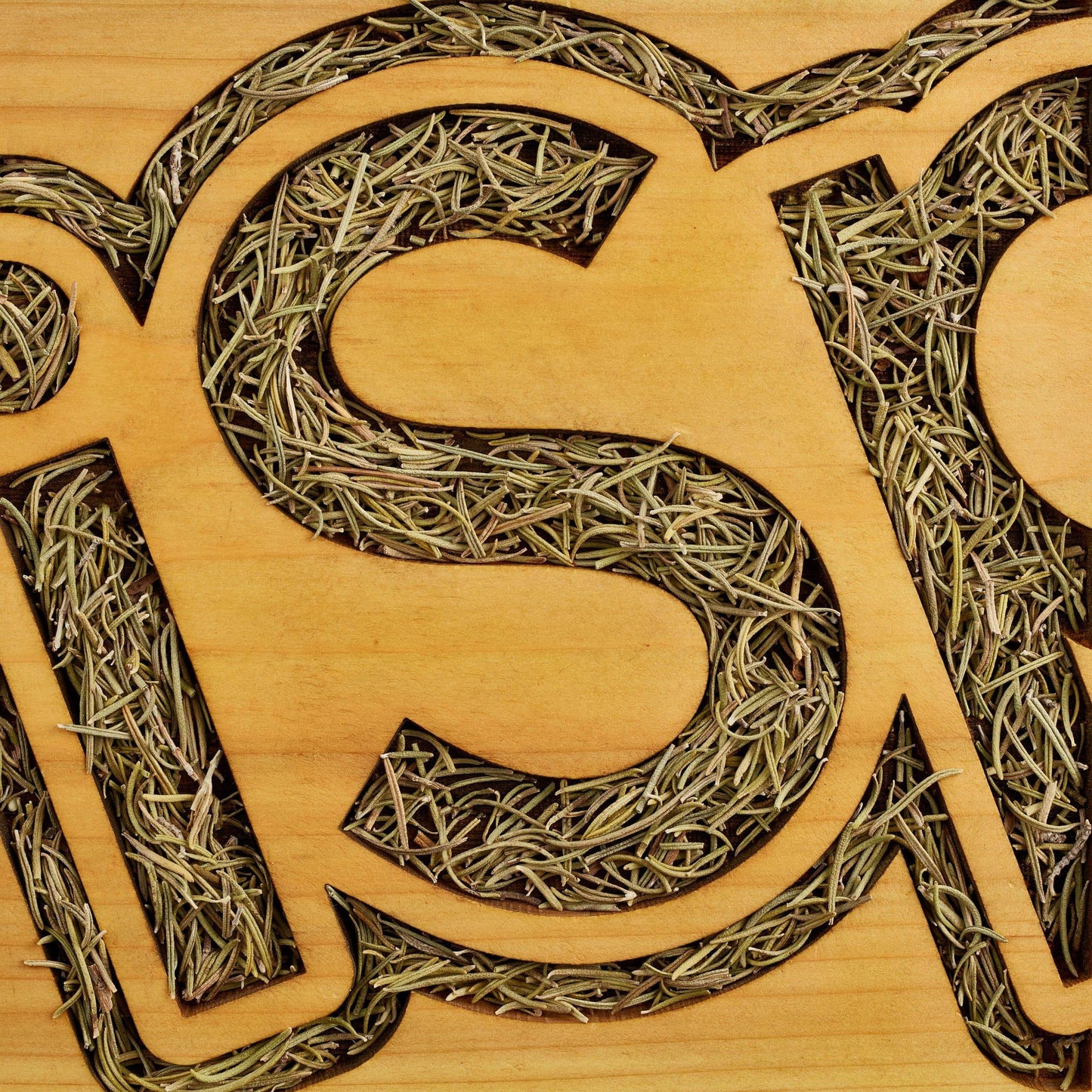 Rosemary Leaves
