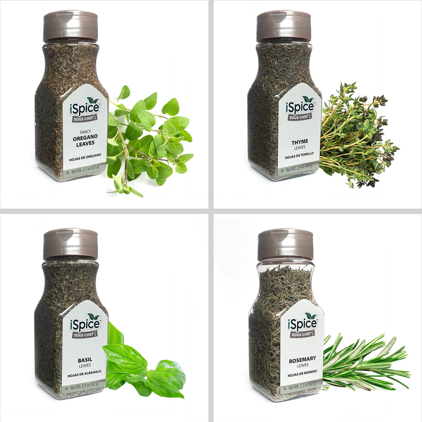 Maya Spices and Herbs - 10 Pack