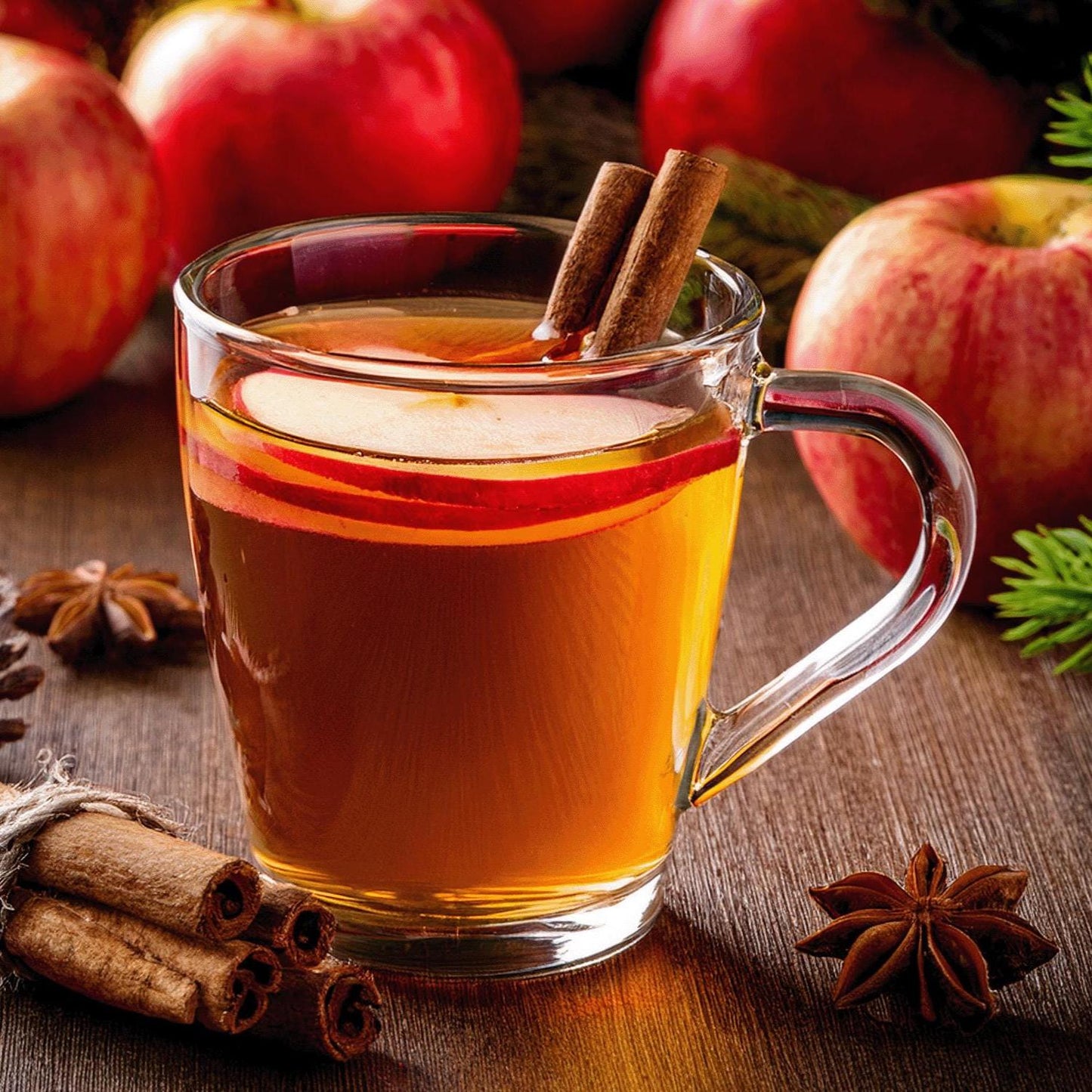 Spiced Apple Cider Drink Mix