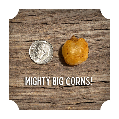 CRUNCHIN' CORN - VARIETY PACK