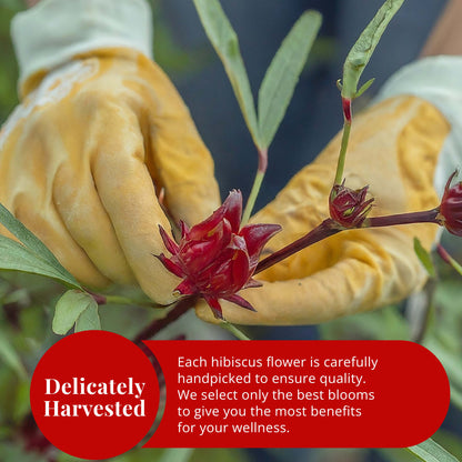 Dried Hibiscus Flowers