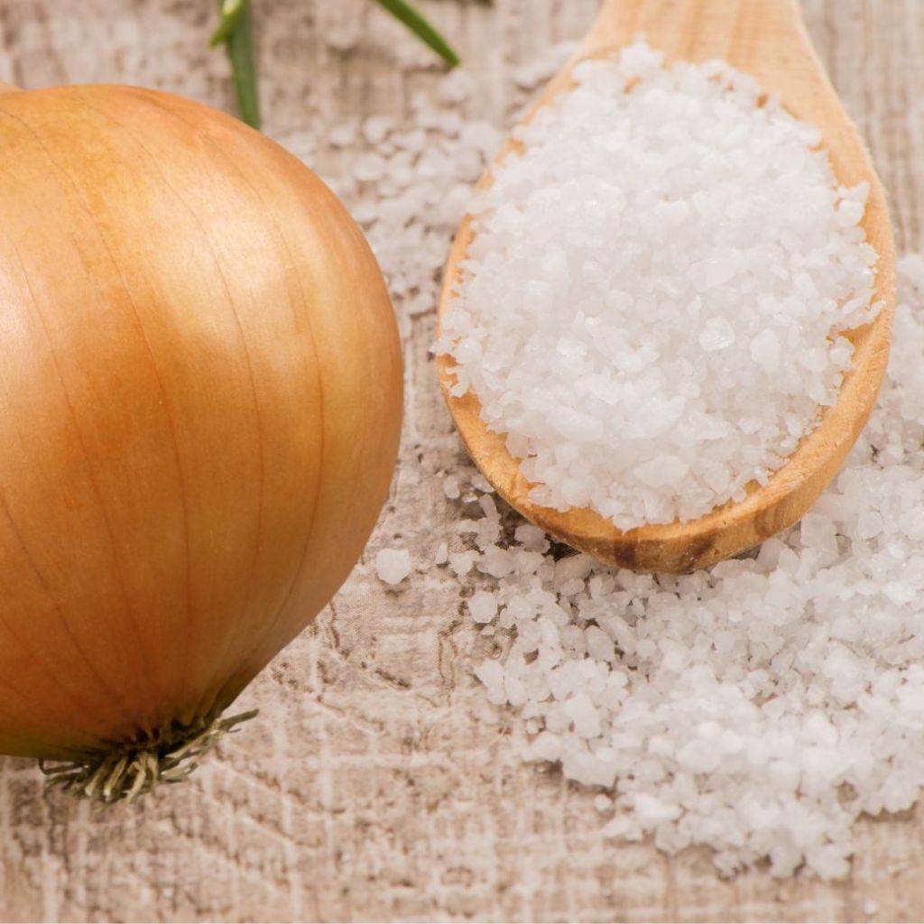 Onion Salt