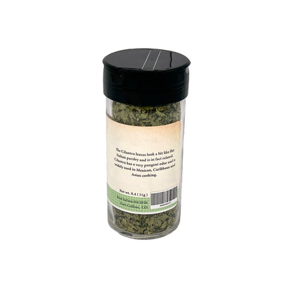 Cilantro