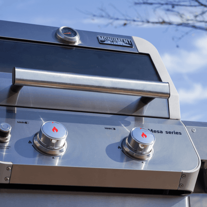 Mesa 200S | Foldable Stainless Gas Grill