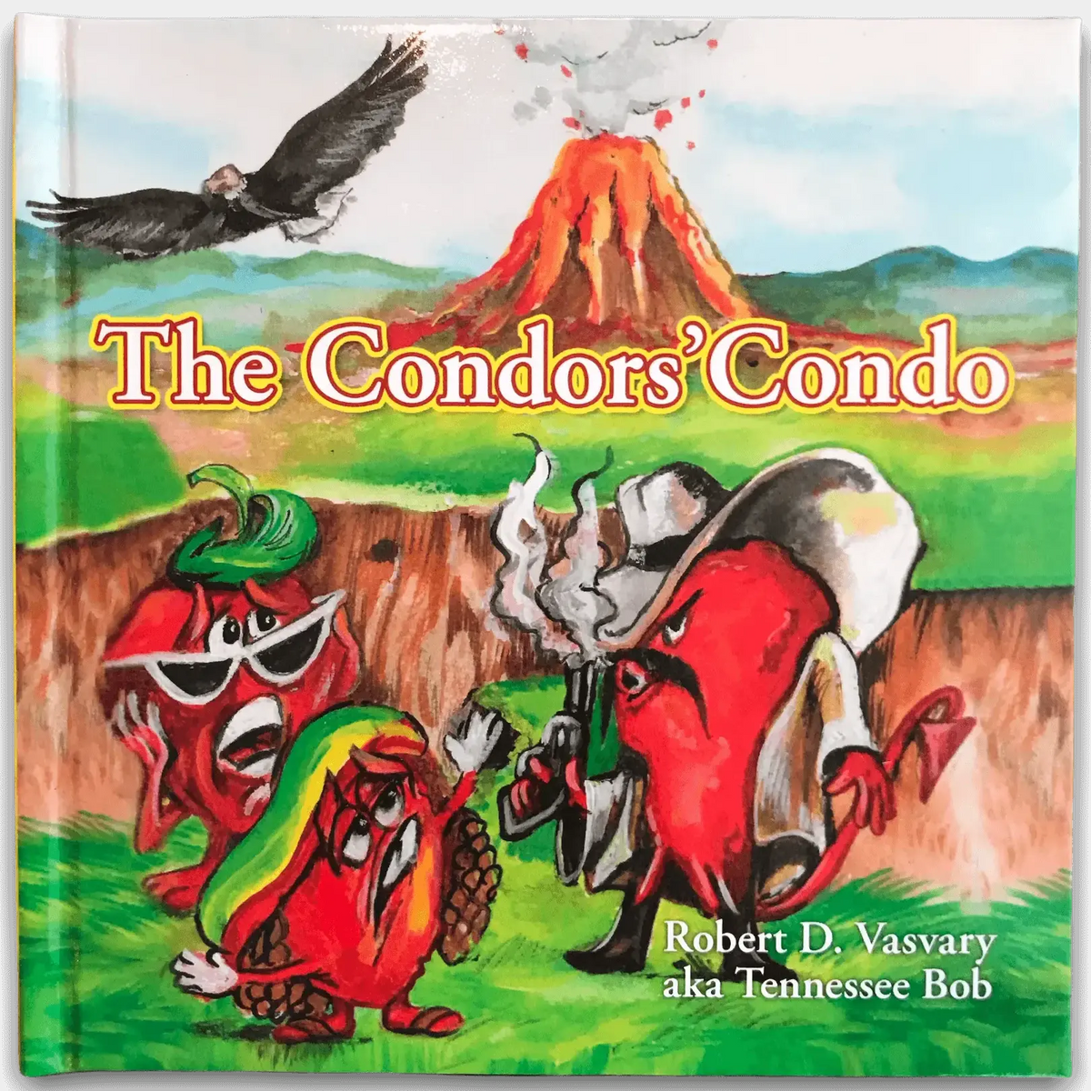 The Condors Condo Book